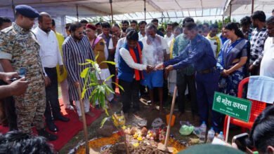 वृक्षारोपण अभियान: एक पेड़ बस्तर के देवी-देवताओं के नाम