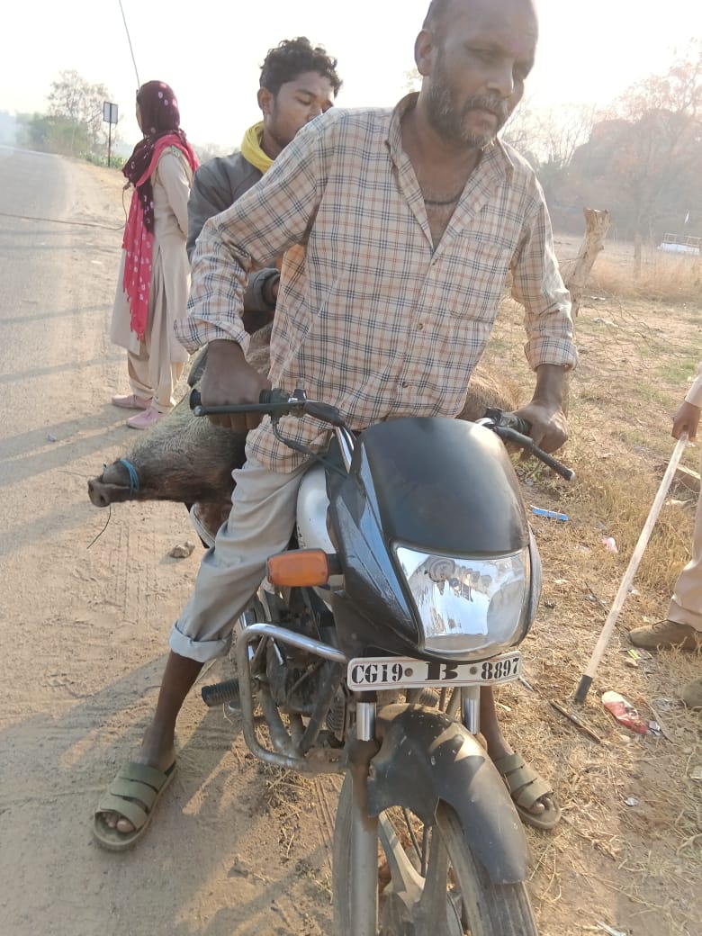 अवैध शिकार के खिलाफ वन विभाग की बड़ी कार्रवाई, सात आरोपी गिरफ्तार